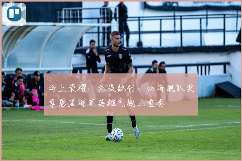 海上荣耀，无畏航行，公海舰队奖章彰显海军英雄气概三重奏