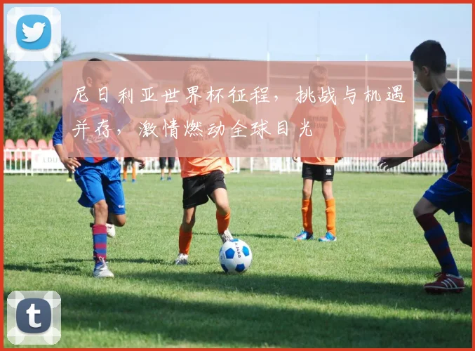 尼日利亚世界杯征程，挑战与机遇并存，激情燃动全球目光