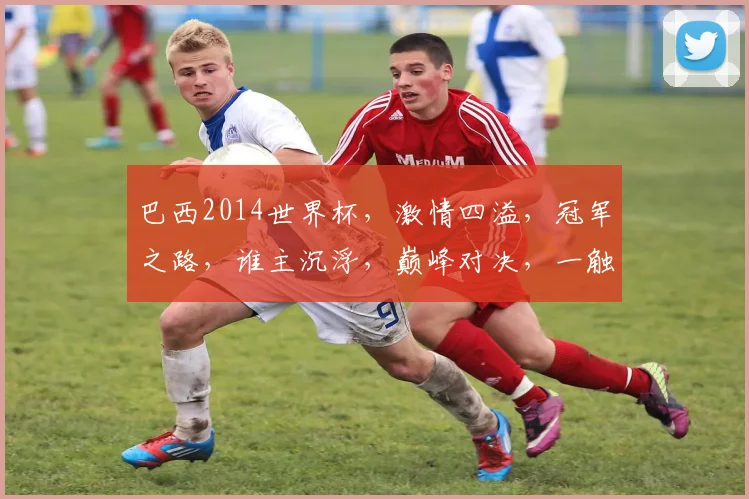 巴西2014世界杯，激情四溢，冠军之路，谁主沉浮，巅峰对决，一触即发